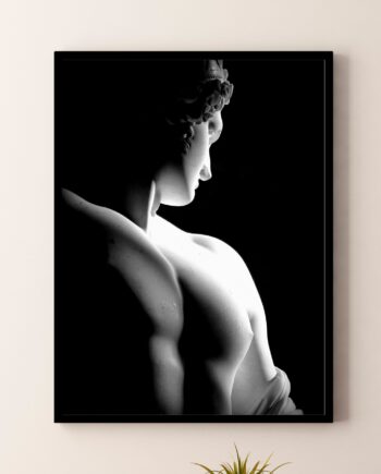 Antinoo di Delfi. Poster o Quadro su tela 100% cotone. Arredamento moderno casa