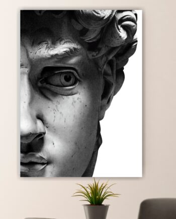 David di Michelangelo. Primo piano. Poster o Quadro su tela 100% cotone.